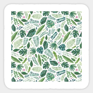 Tropical or Jungle Leaves Sticker